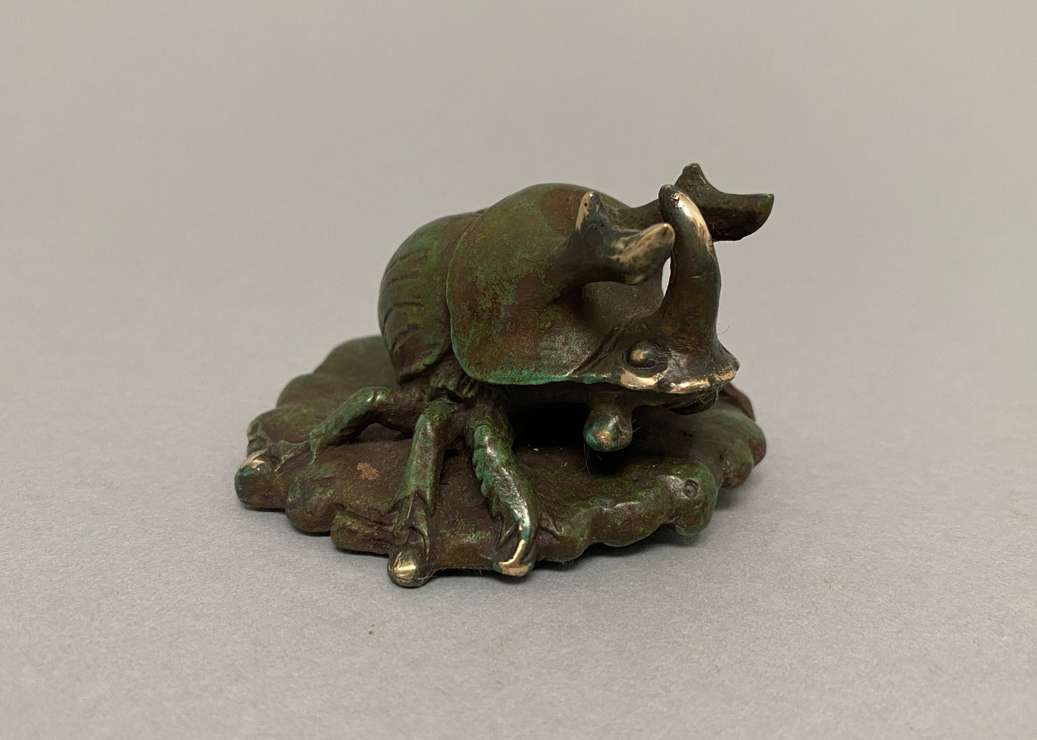 Sand Turd Beetle