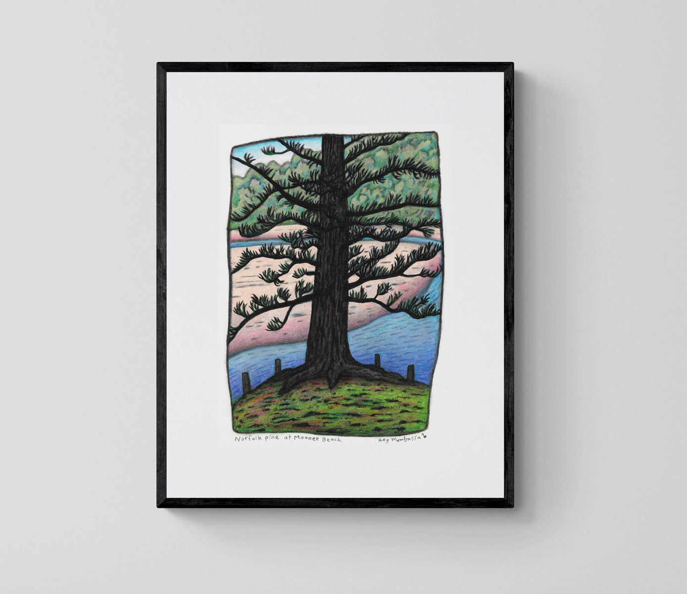 Norfolk Pine and Moonee Beach