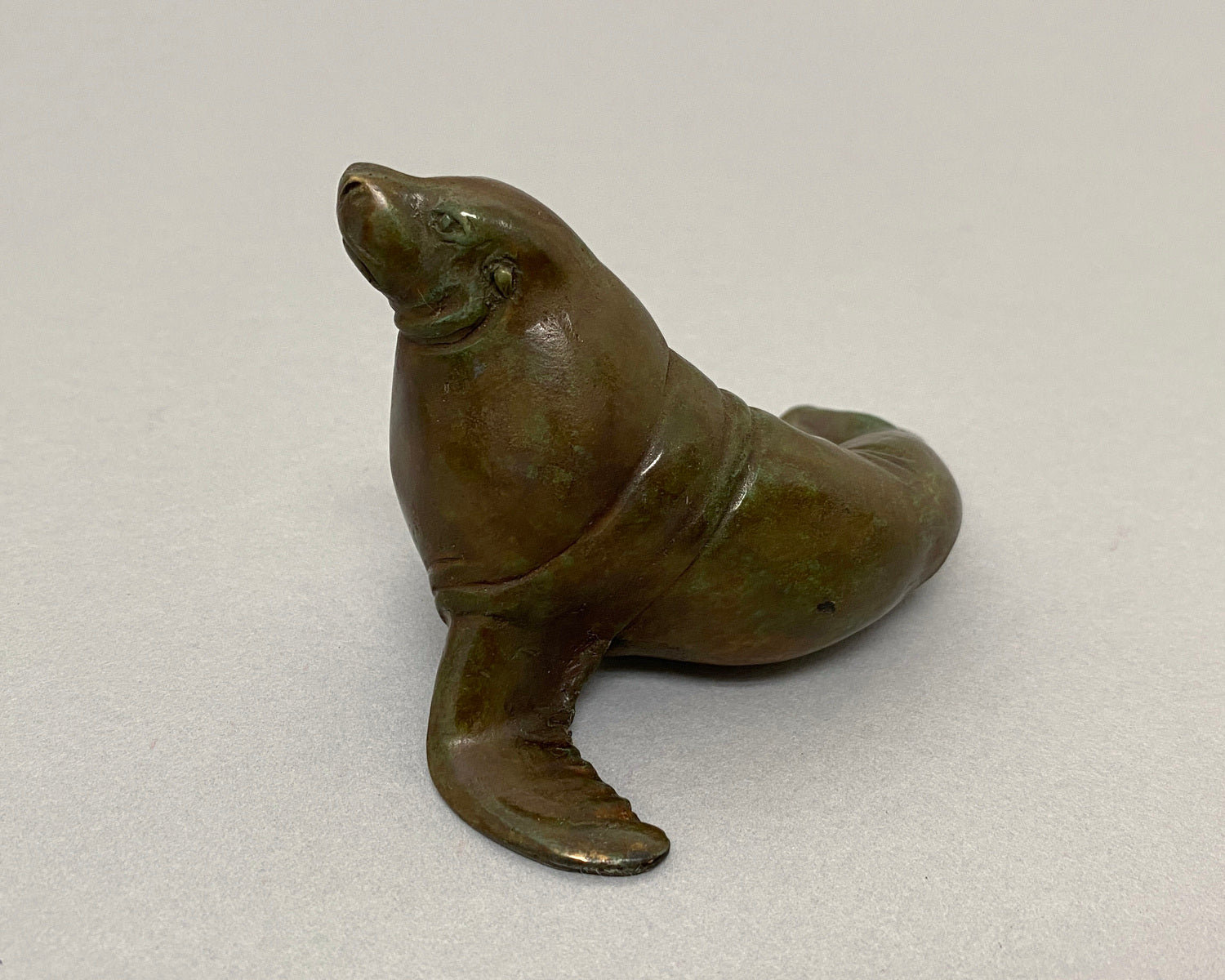Sealion Bull