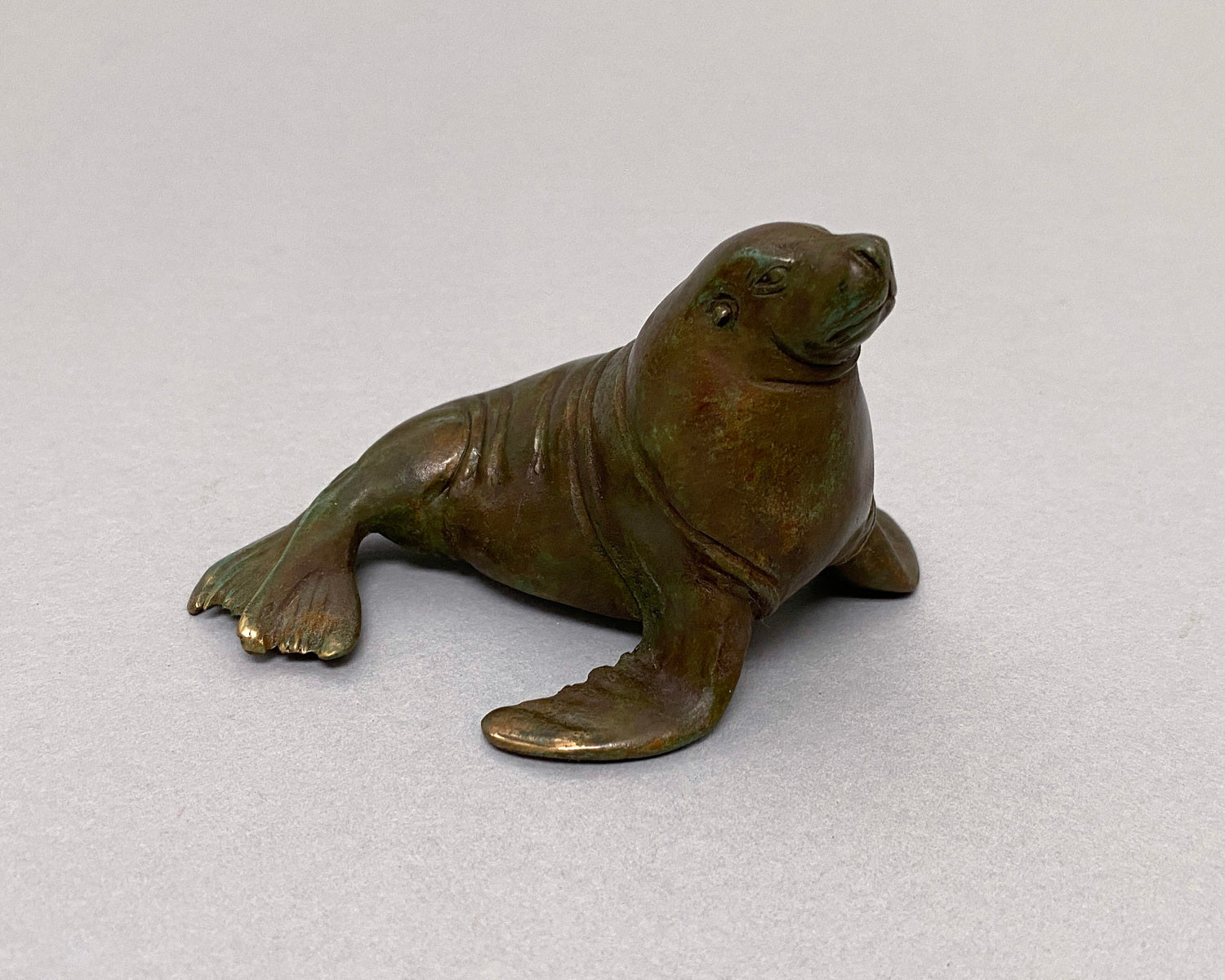 Sealion Bull