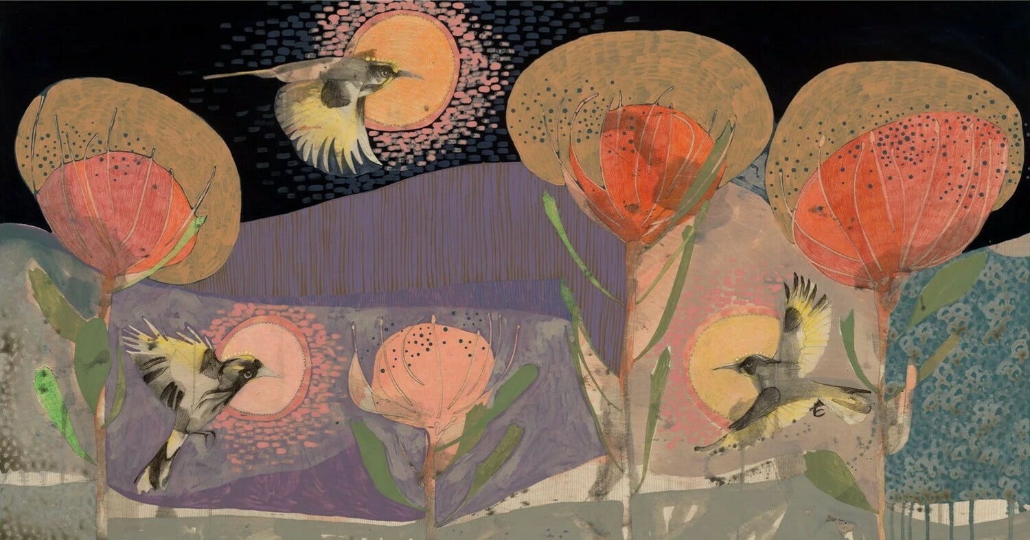 The Fluttering of Birds, New Holland Honeyeater and Pincushion