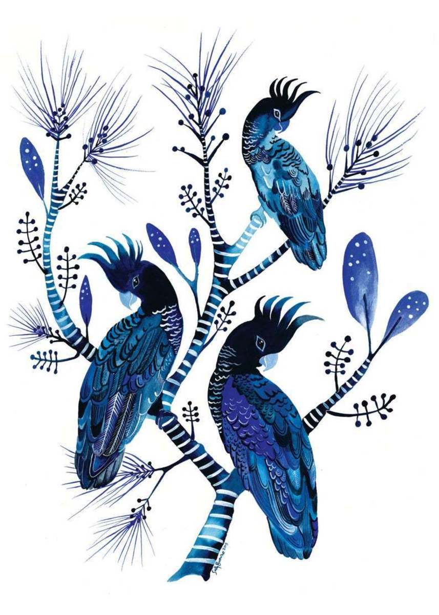 Indigo Cockatoos & Banksia Flowers