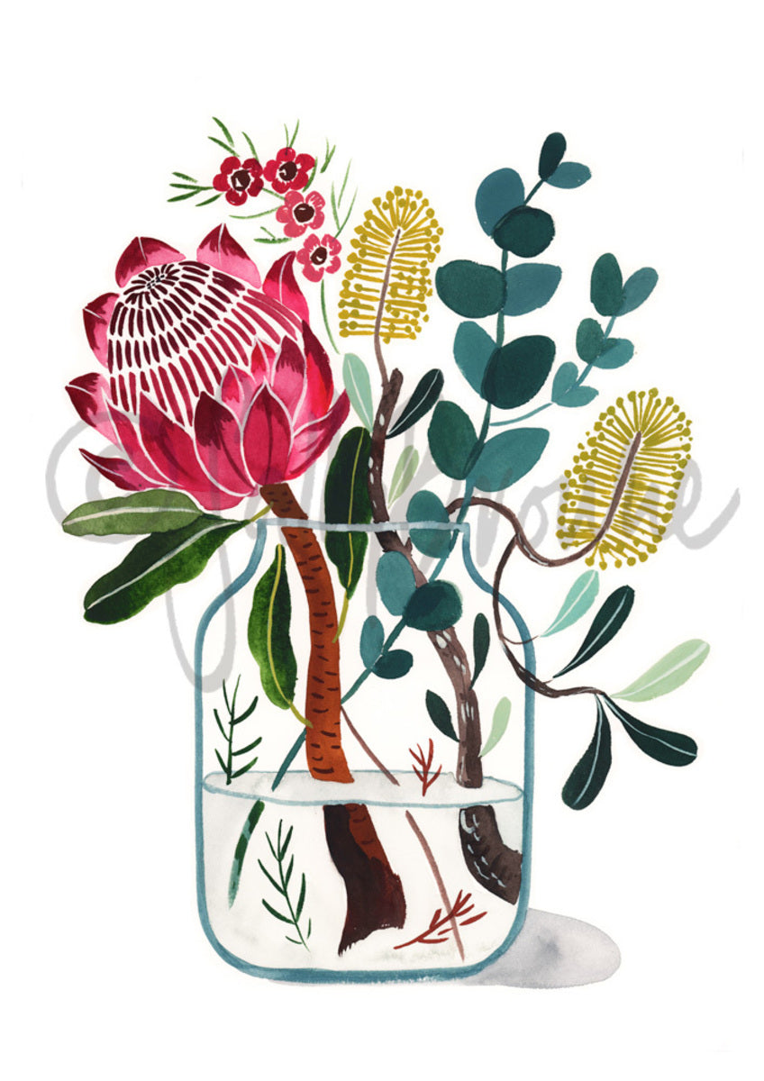 King Protea, Integrifolia and dollar gum