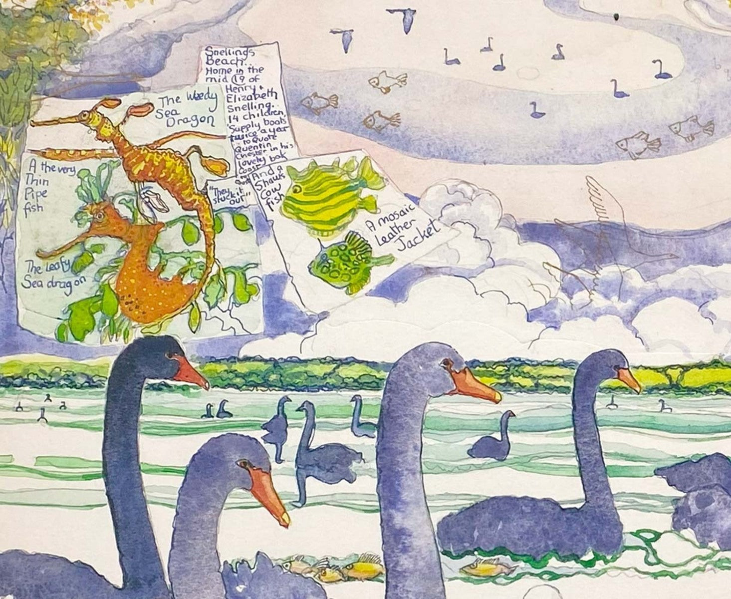 The Swans (at Snellings)