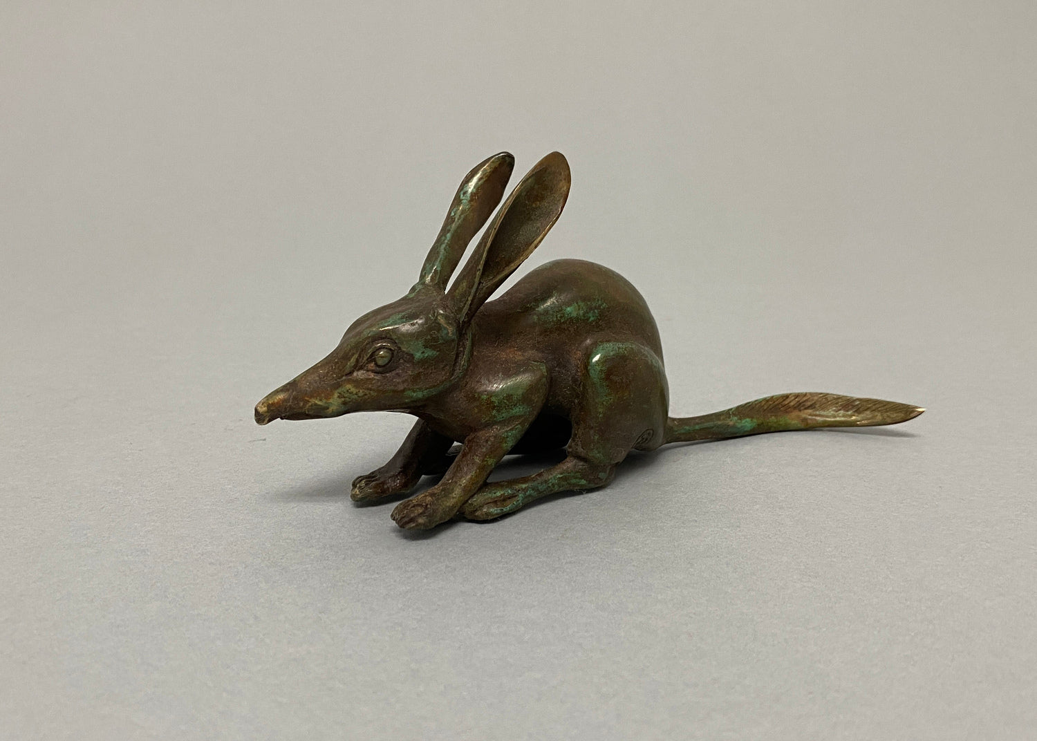 Bilby (medium)