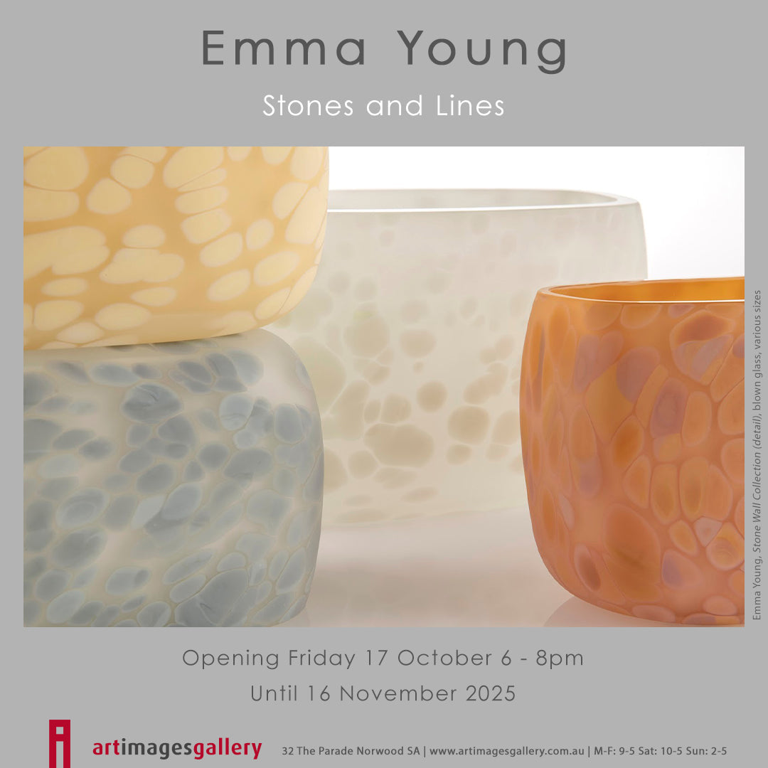 Stones and Lines by Emma Young