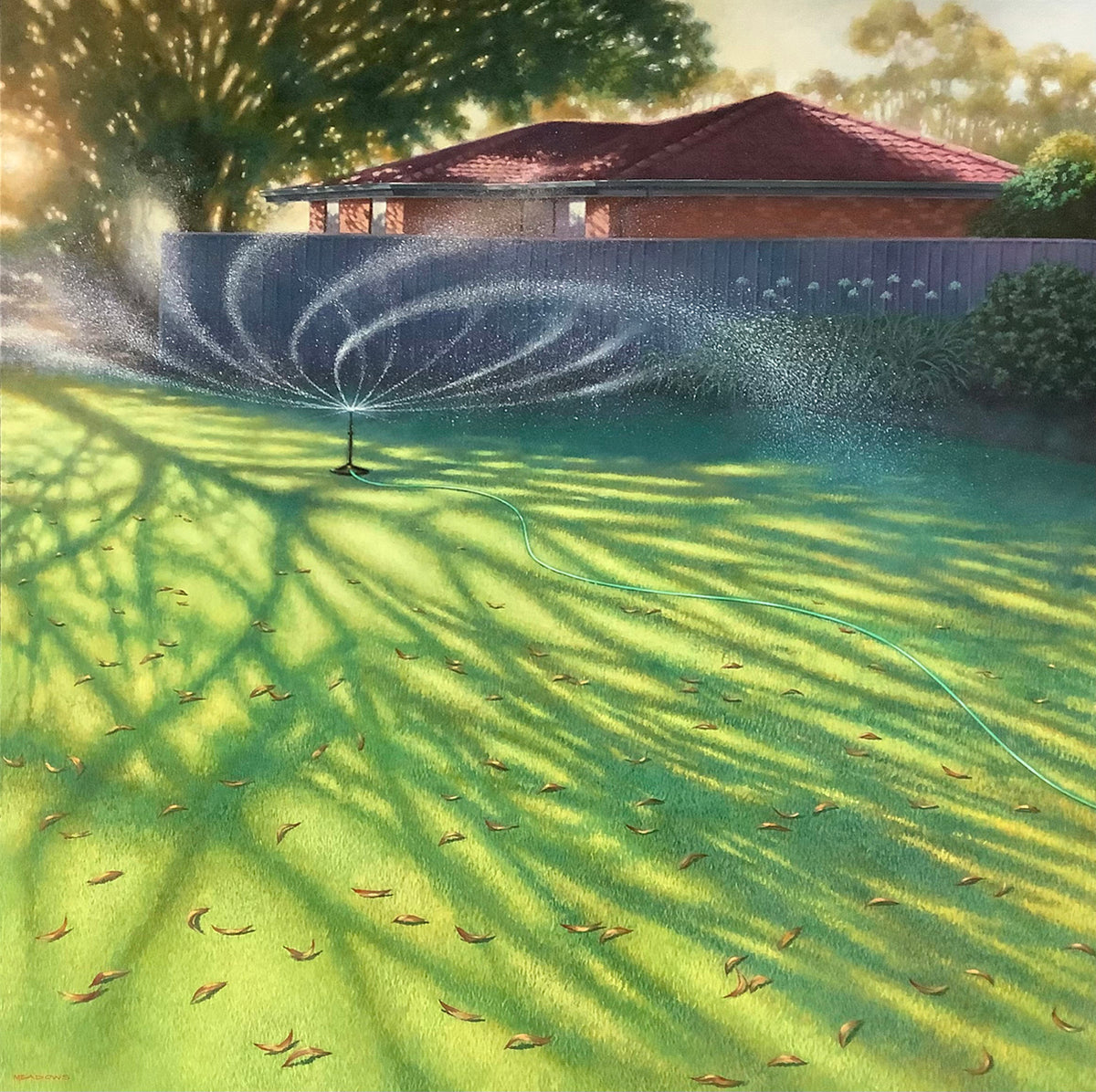 Summer Light in the Suburbs