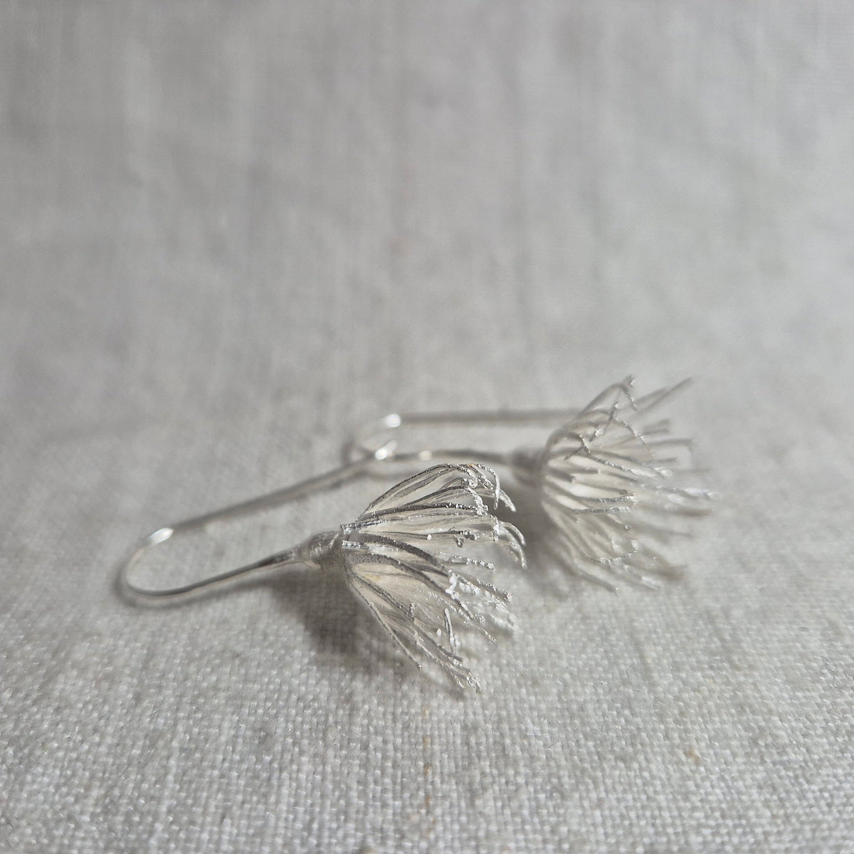 Botanical earrings - eucalyptus flowers, silver