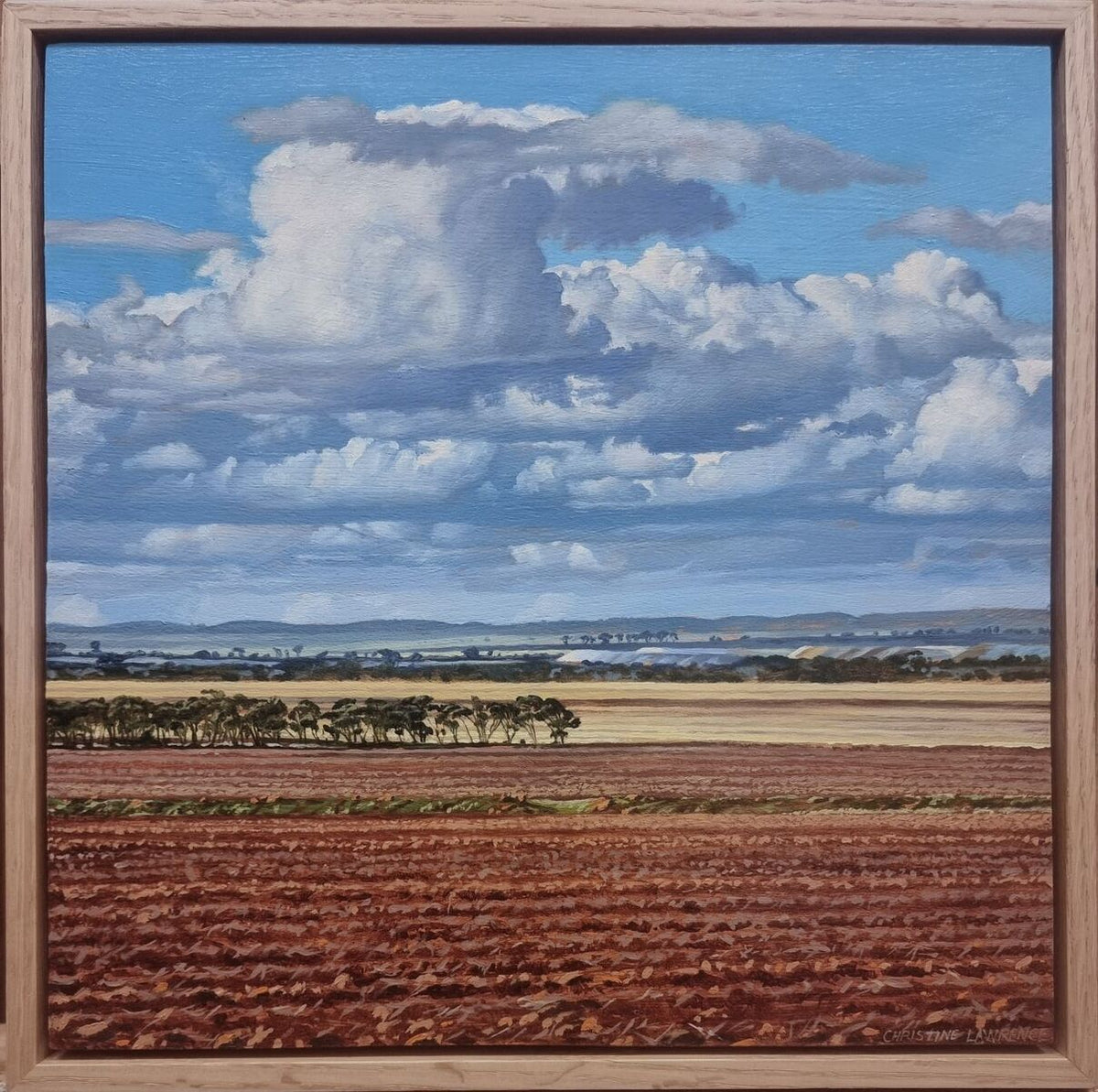Crops and Clouds #13 Cumulous Clouds Near Perenjori