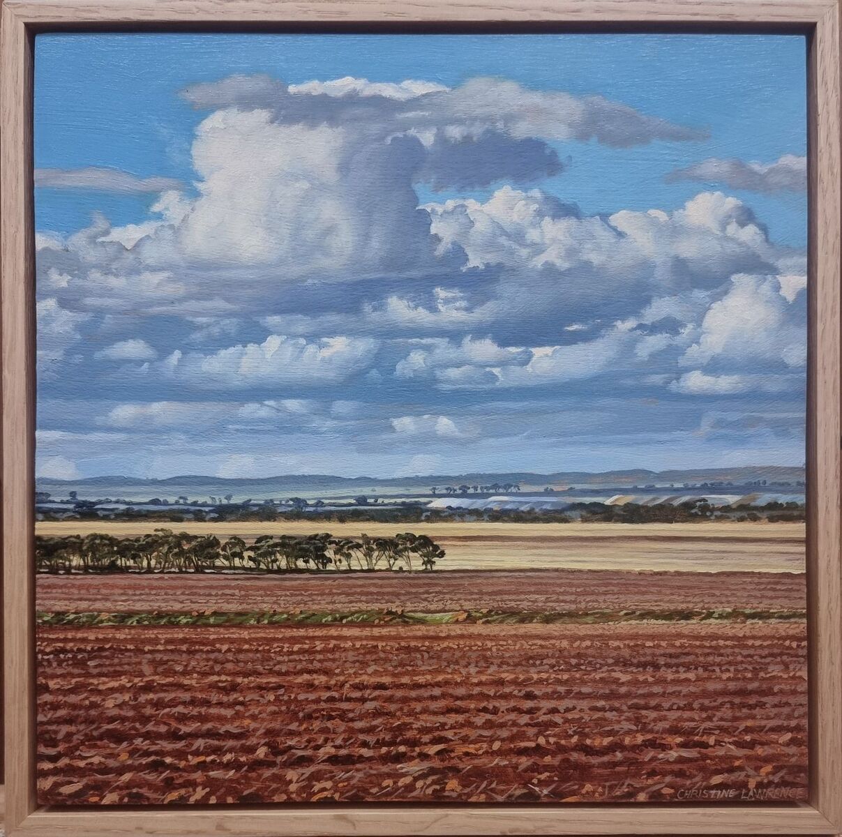Crops and Clouds #13 Cumulous Clouds Near Perenjori