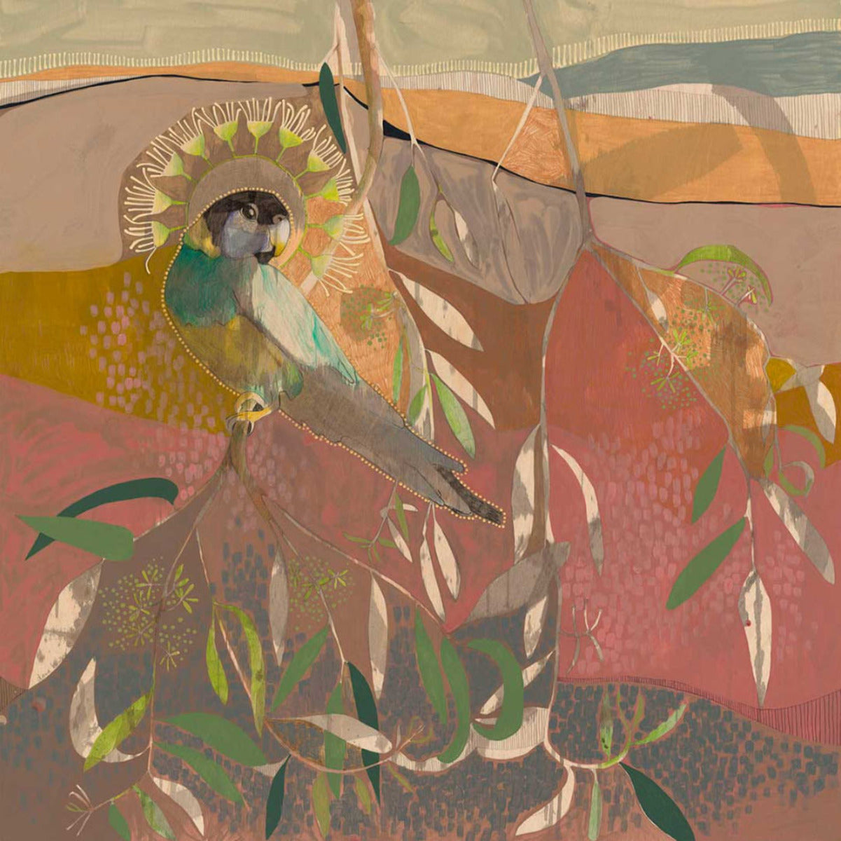 And the Morning Glows Anew, Australian Ringneck Parrot and River Red Gum Along Todd River