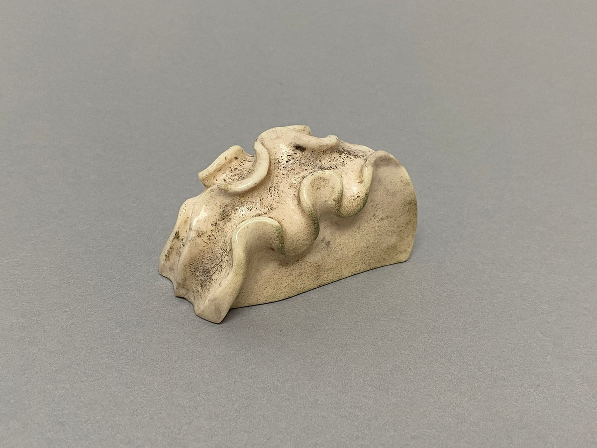 Nudibranch #2