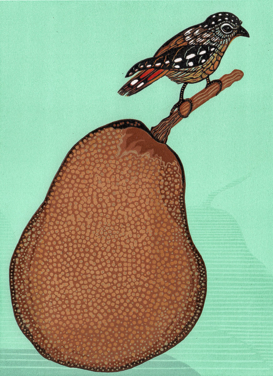 Pear and Pardalote