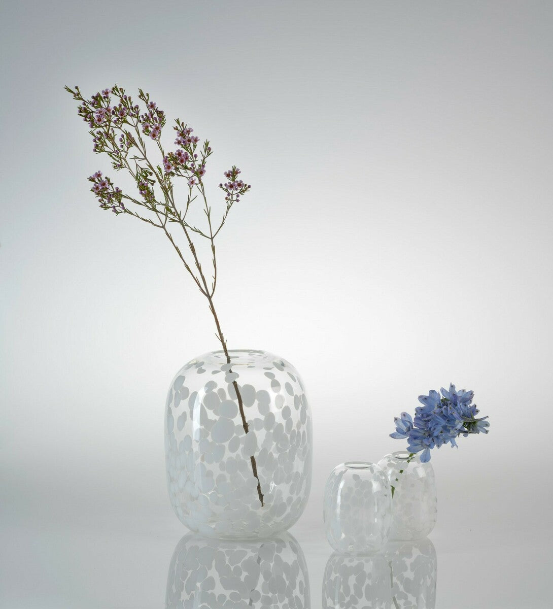 Large Aussie Front Yard Vase - Agapanthus