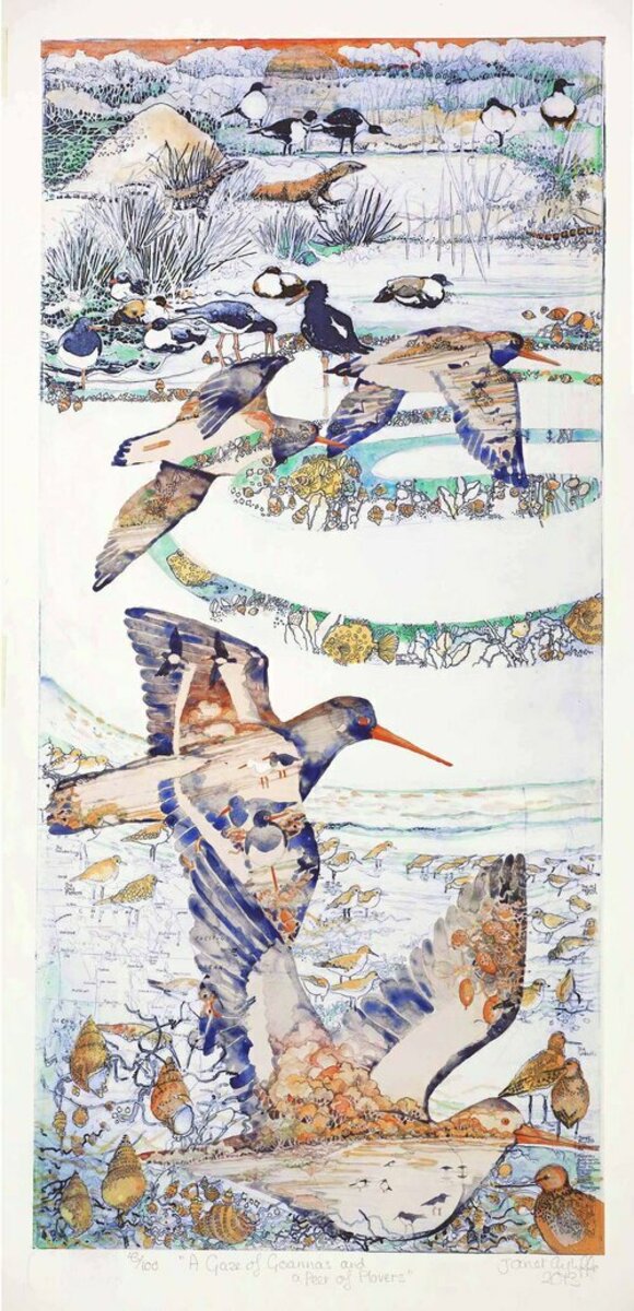 A Gaze of Goannas and a Peer of Plovers