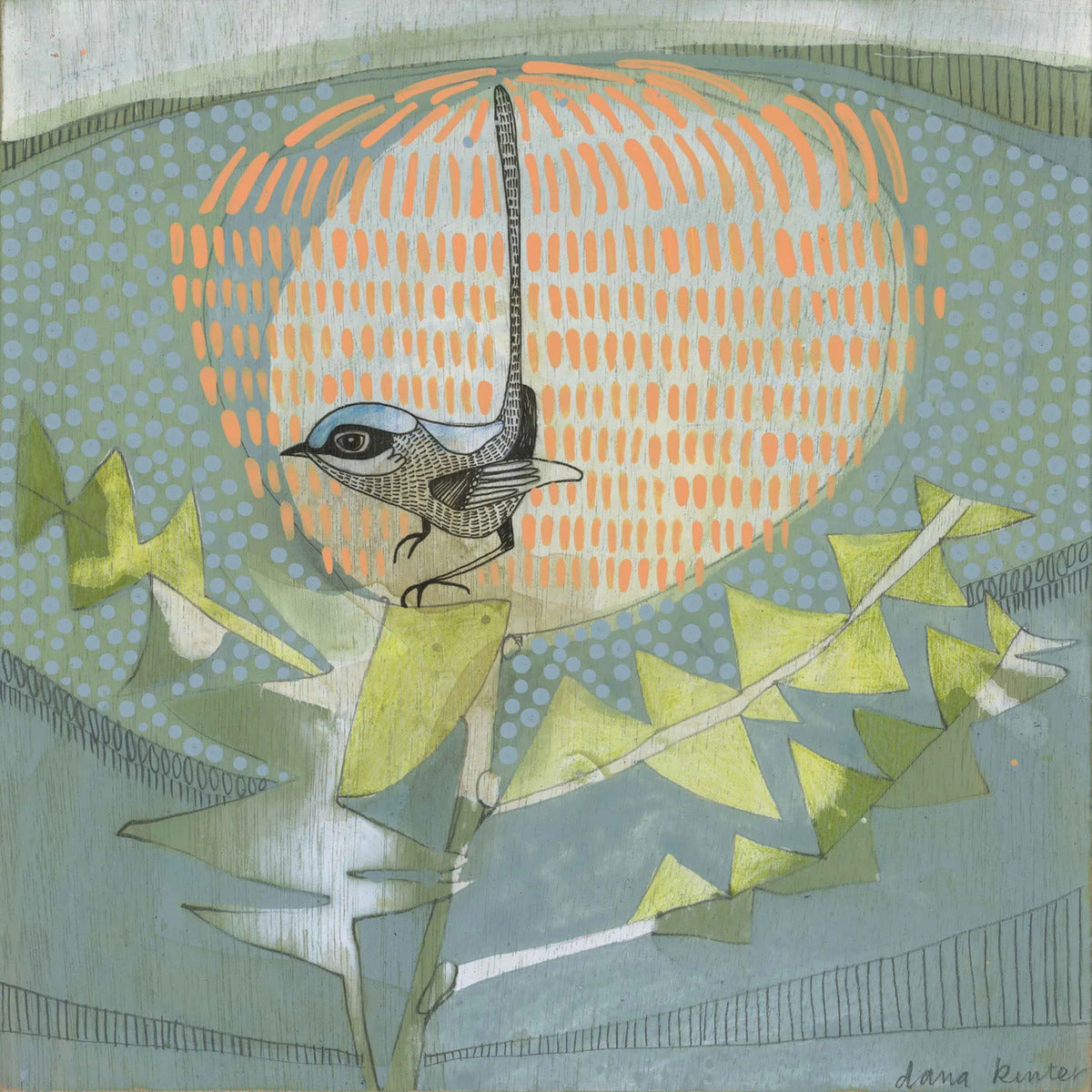 Black Backed Wren and Banksia