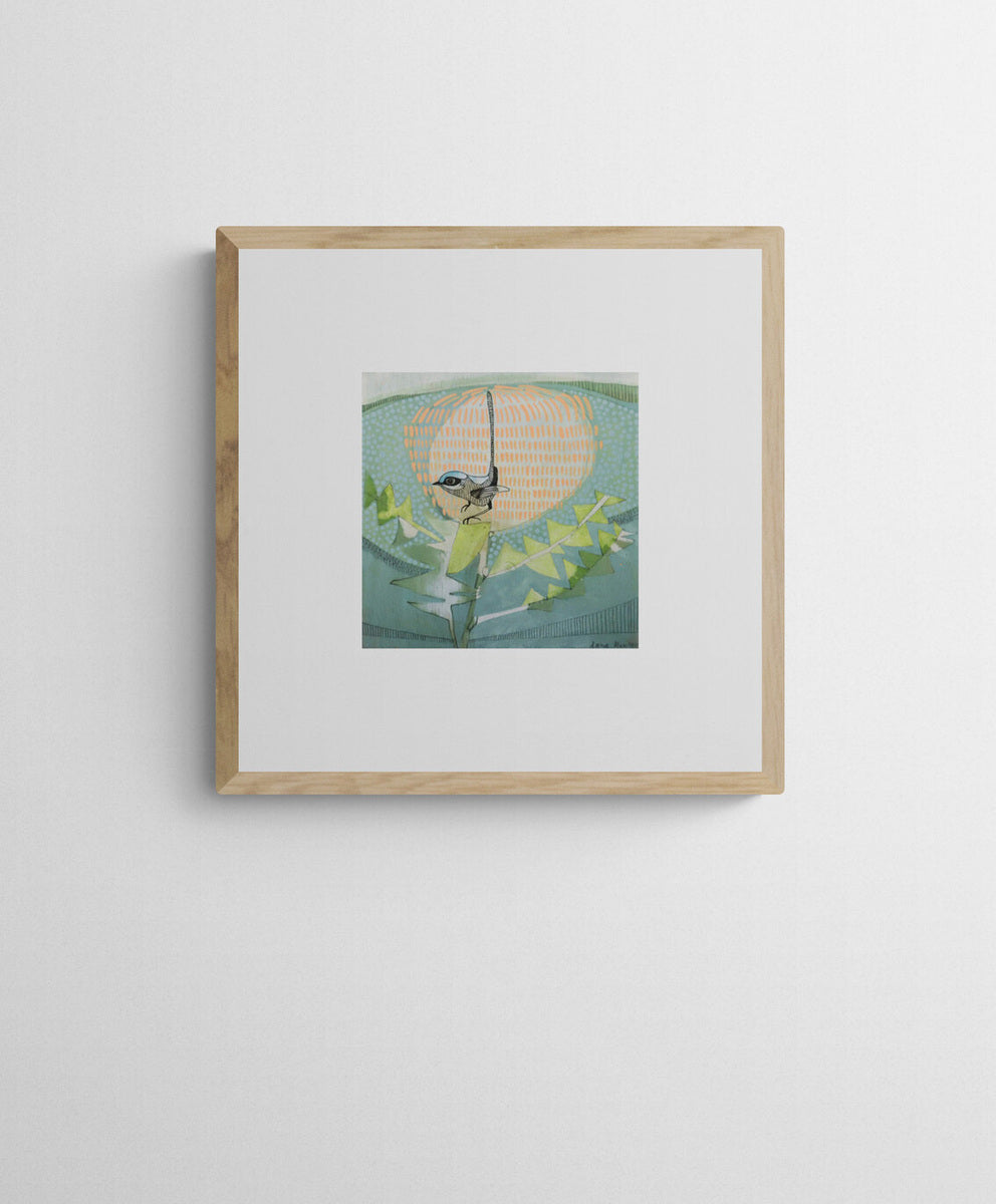 Black Backed Wren and Banksia