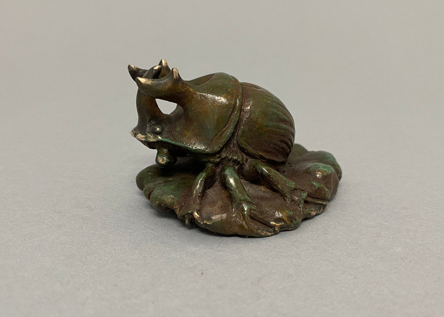 Sand Turd Beetle