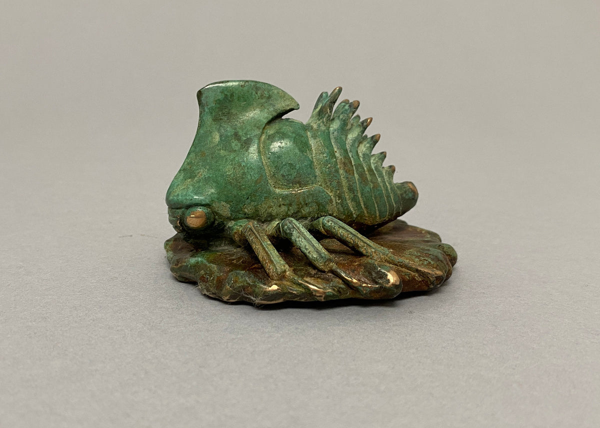 Leaf Hopper
