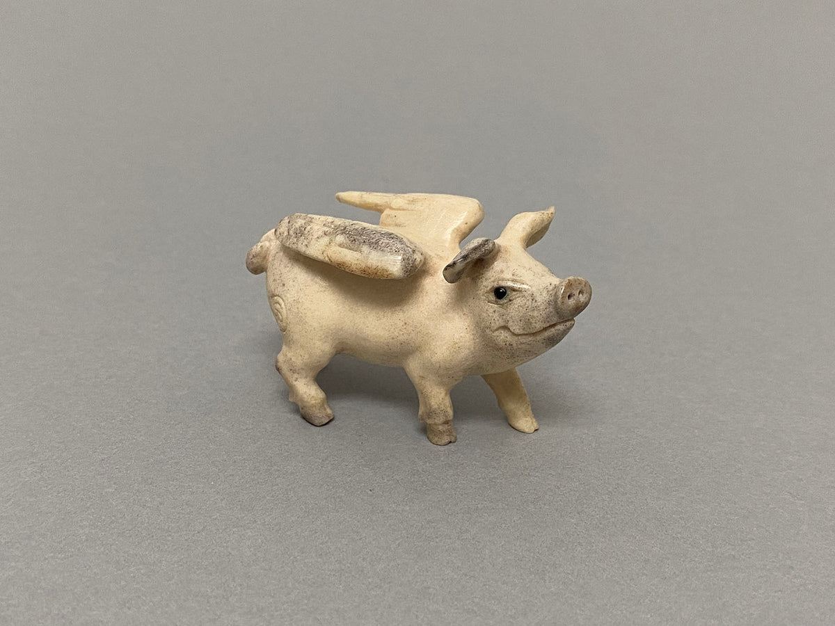 Pigs Can Fly