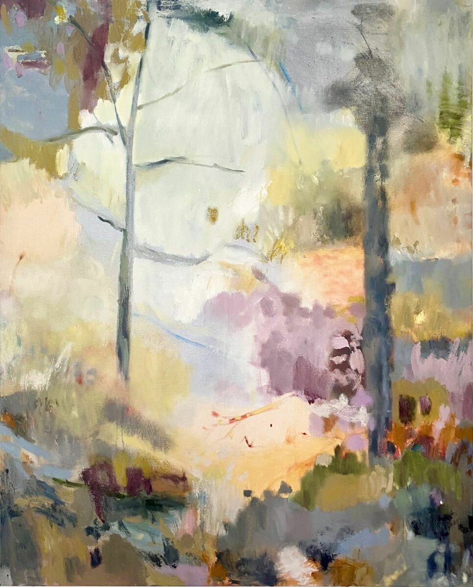 ‘The Climb’- Mt Lofty Botanic Gardens'