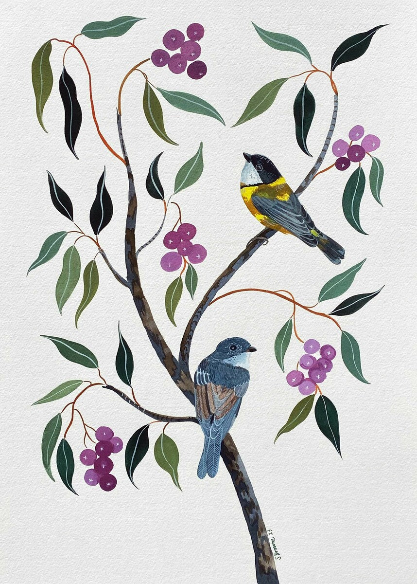 Golden Whistlers and Lilly Pilly