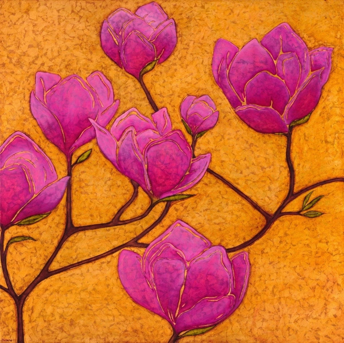 Magnolia Soulangeana