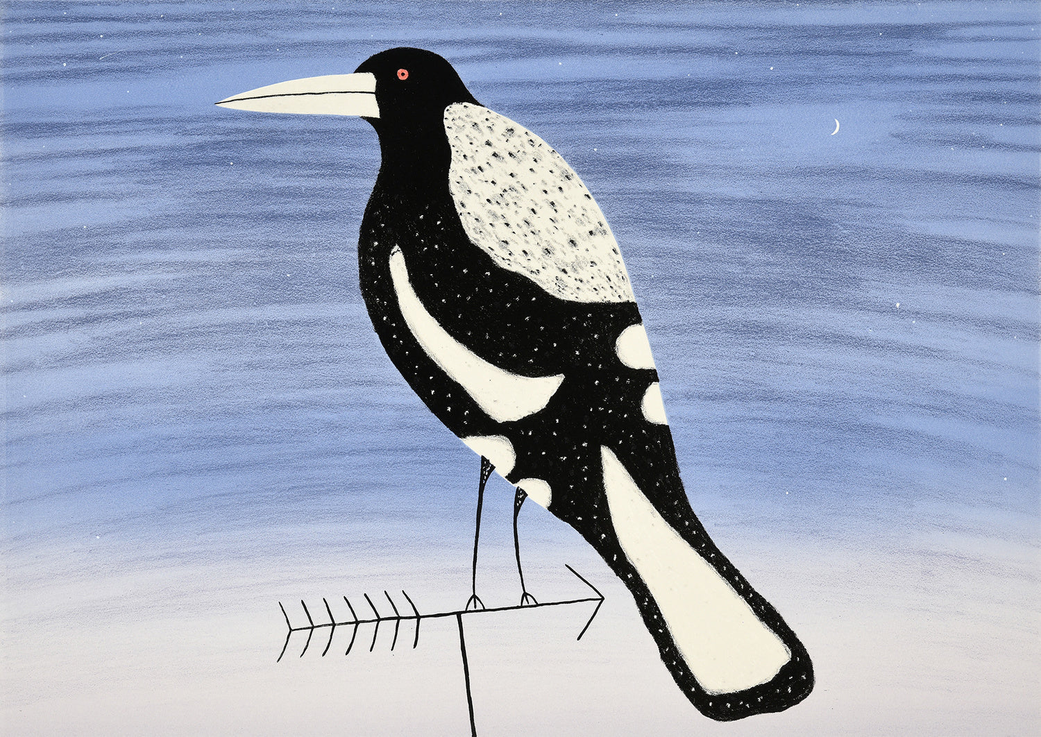 Magpie on TV Antenna