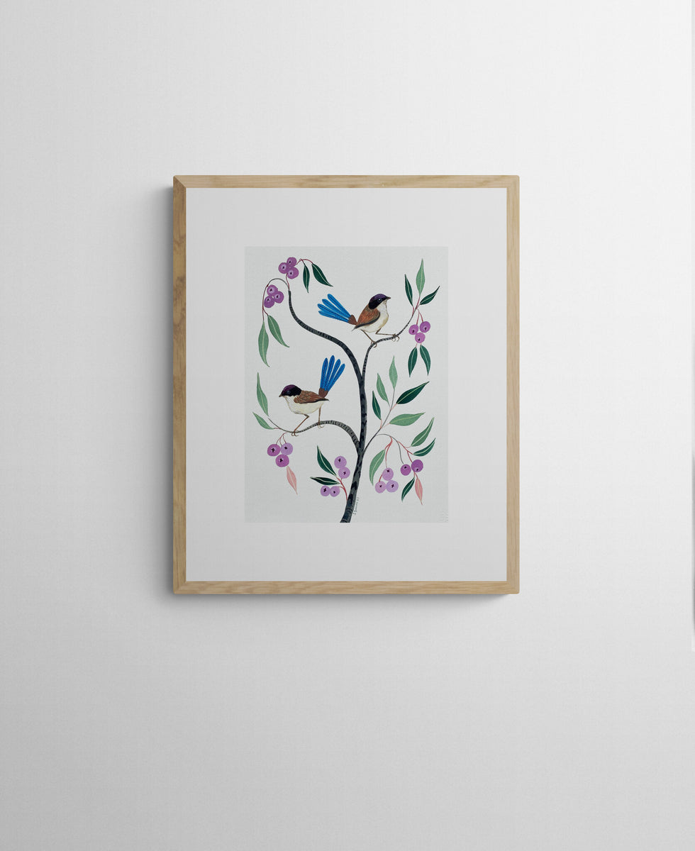 Purple Crowned Fairy Wrens and Lilly Pilly