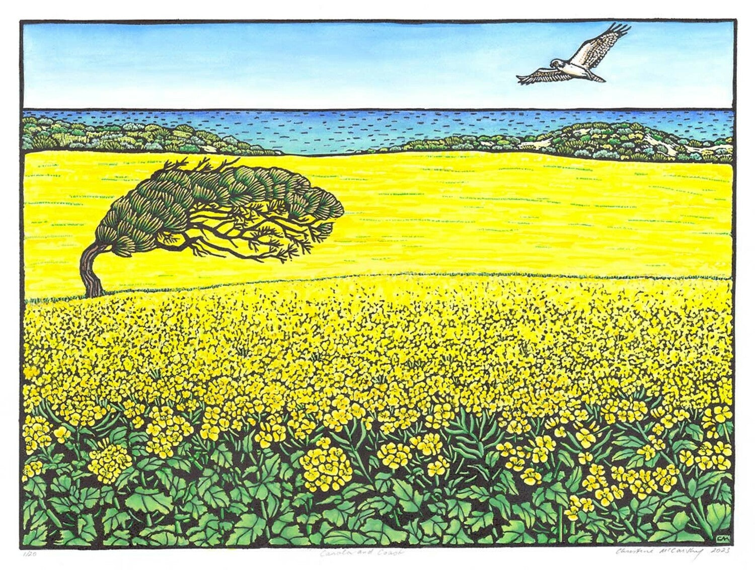 Canola and Coast