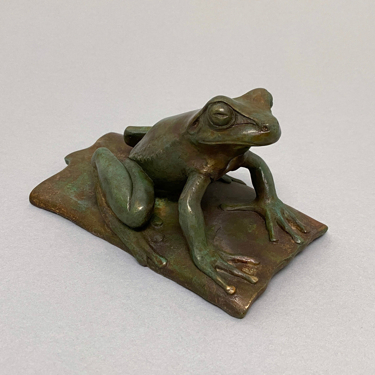 Golden Bell Frog on Bark with two Beetles