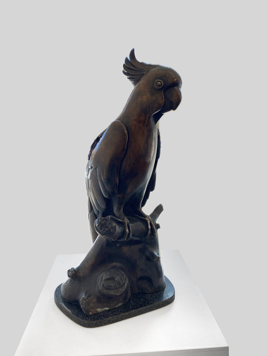 Sulphur Crested Cockatoo