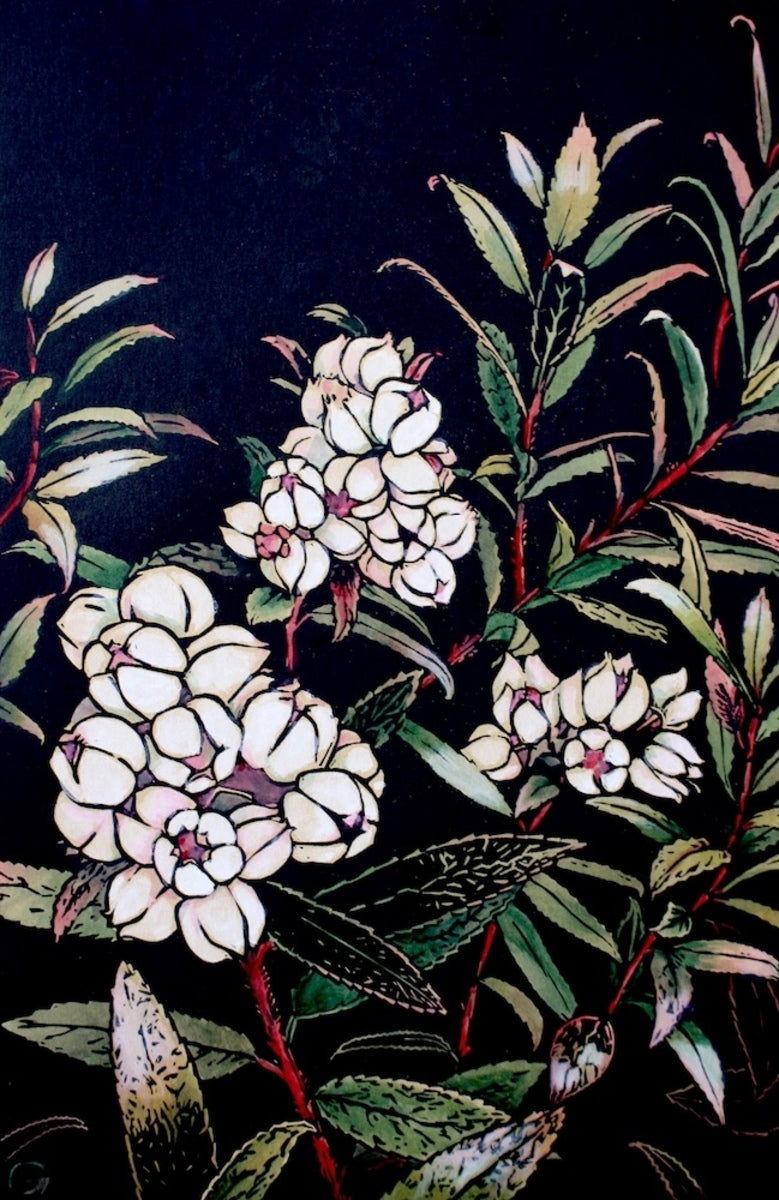 Copperleaf Snowberry