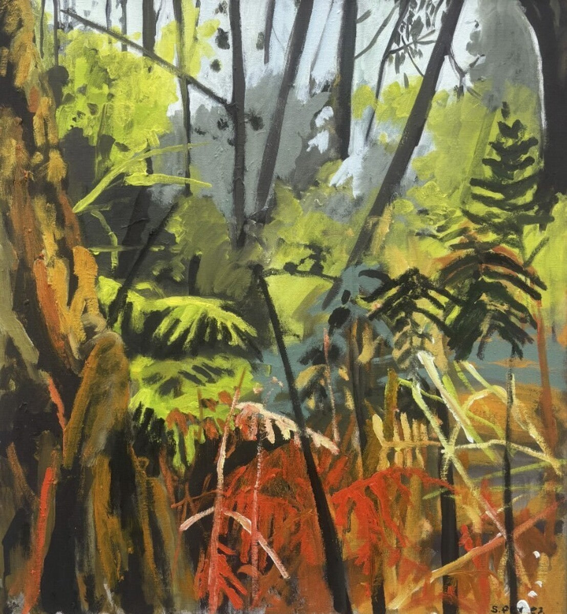 Lightwood Creek