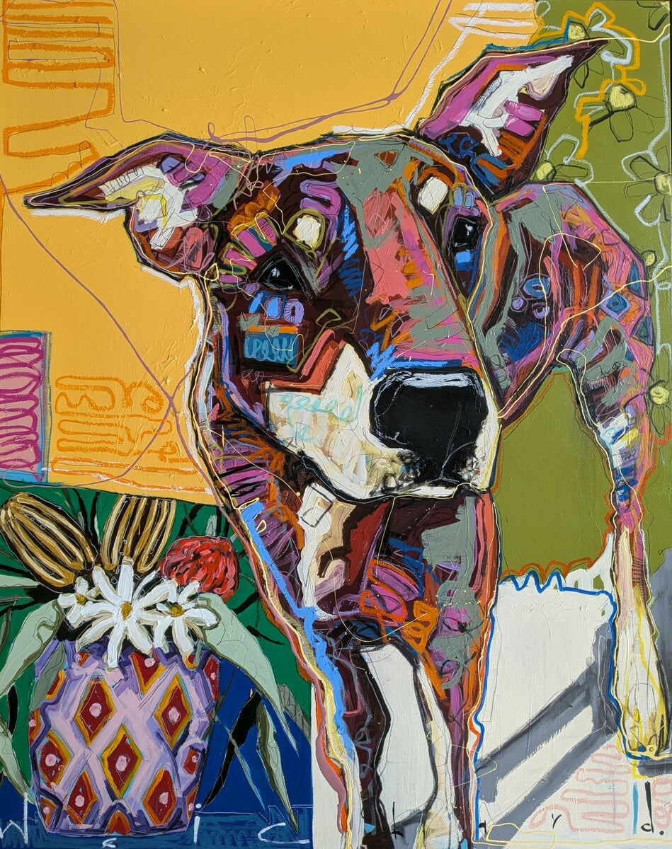 Lost in The Backyard