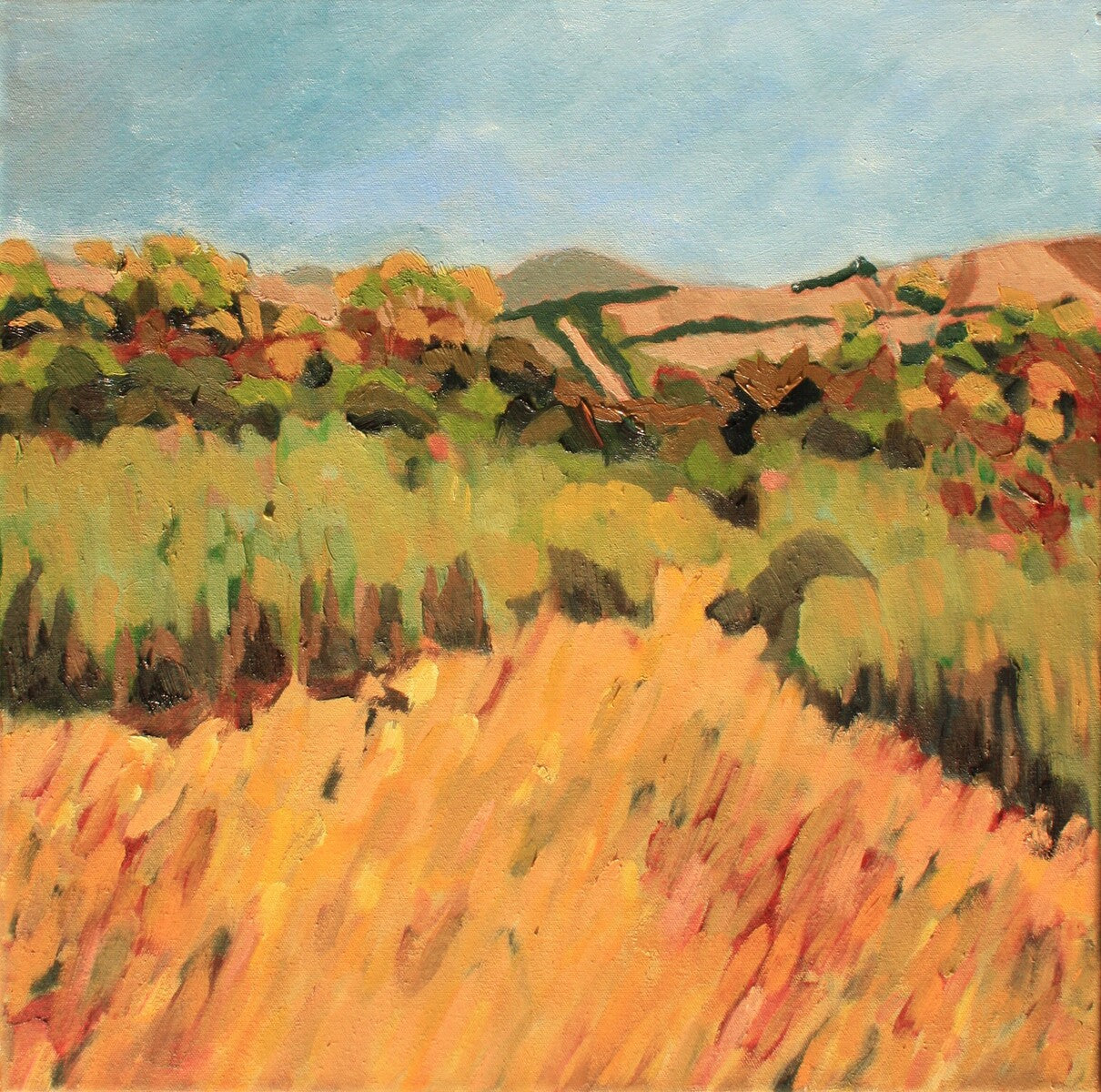 Near the Todd River II