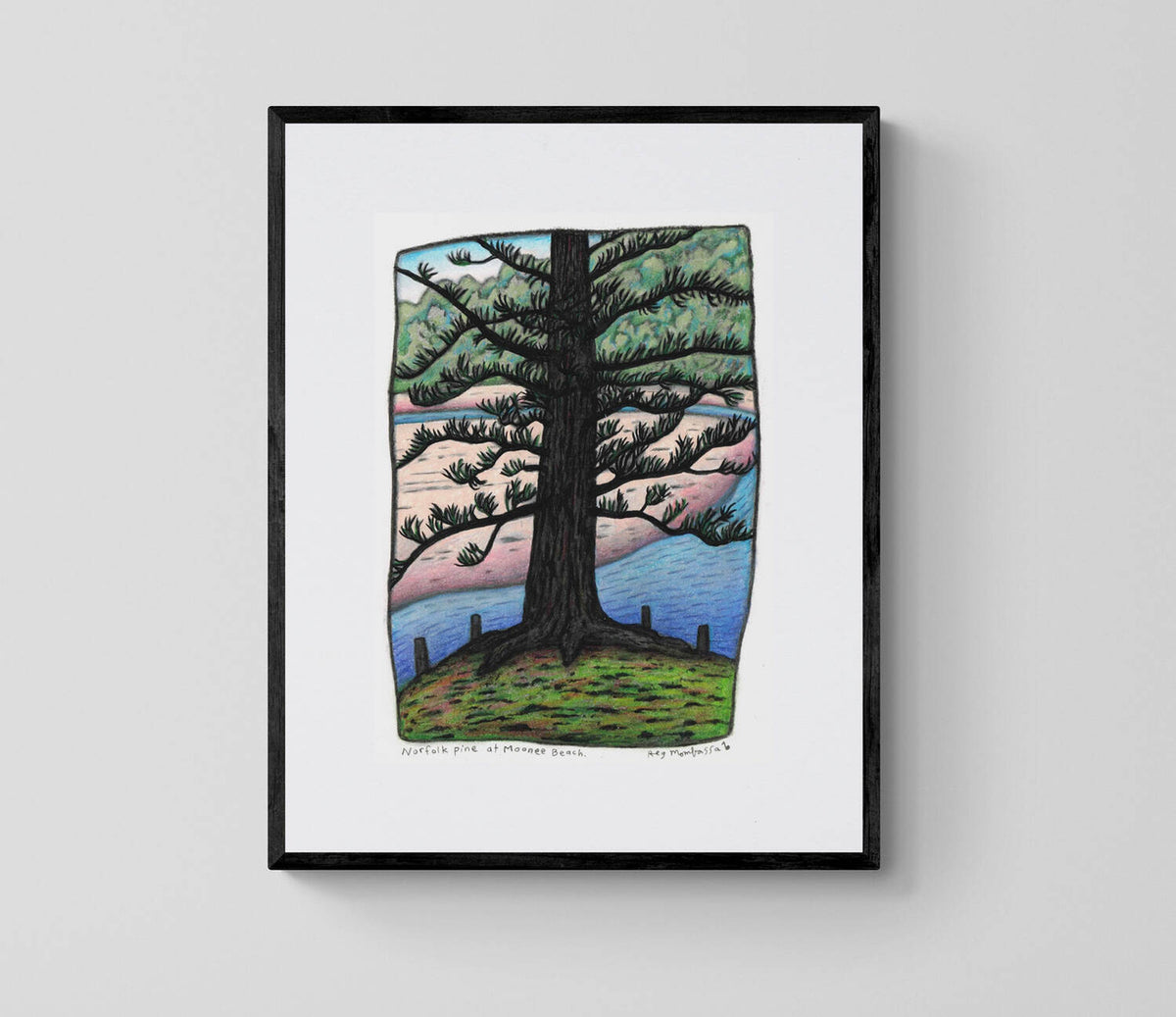 Norfolk Pine and Moonee Beach