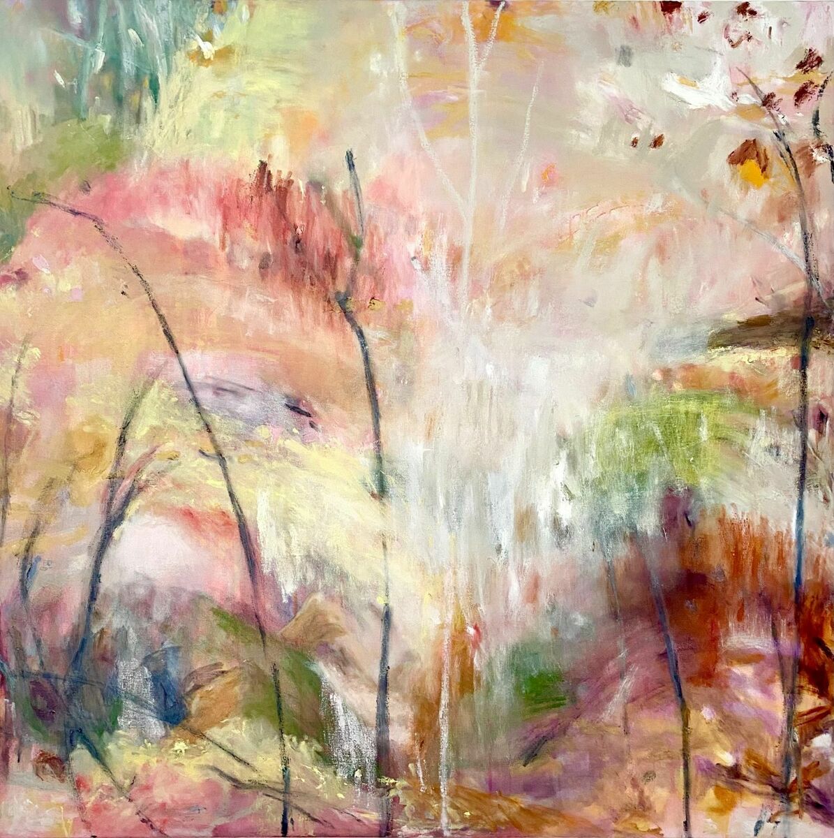 ‘Blaze of Pink - Mt Lofty Botanic Gardens’