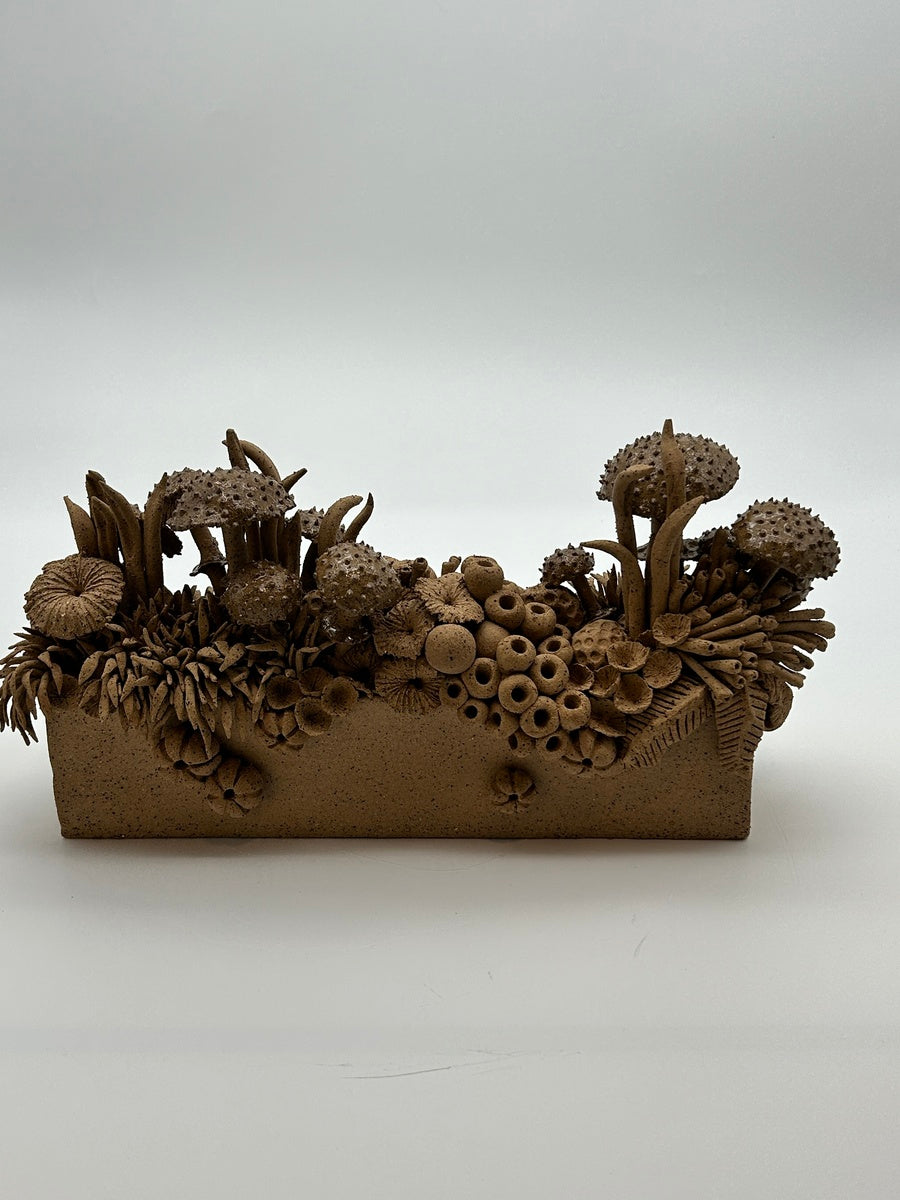 Where the mushrooms grow