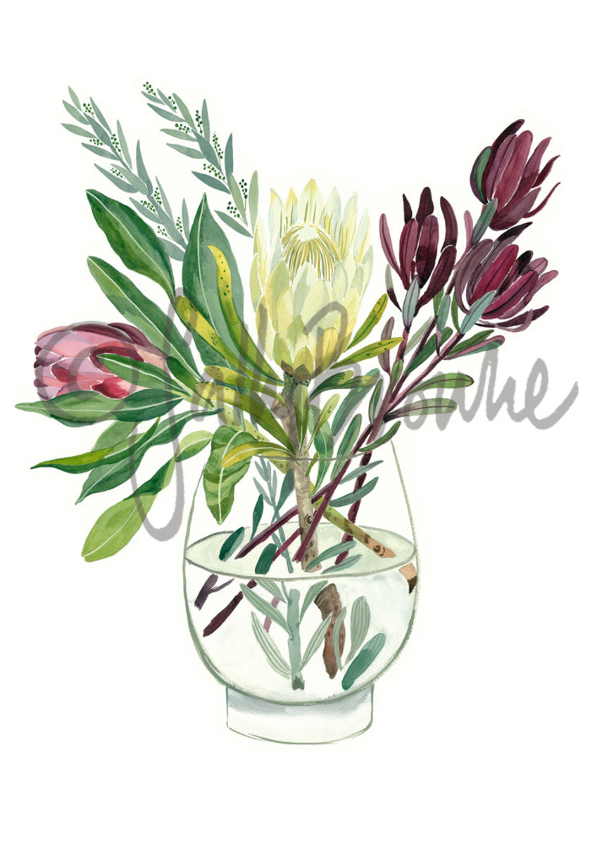 Proteas and Leucadendrons