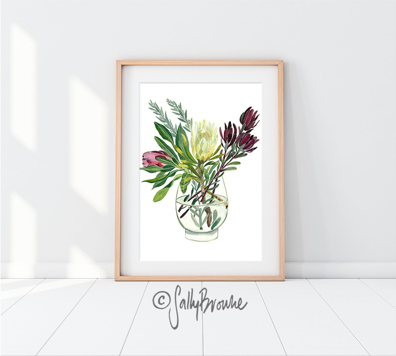 Proteas and Leucadendrons