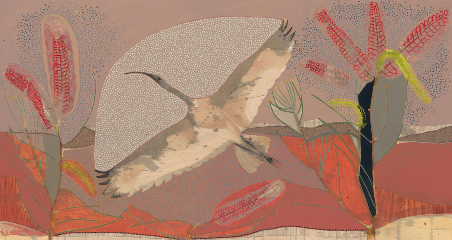 Sails On the Heart of the Wind, Sacred Ibis and Red Poker Hakea