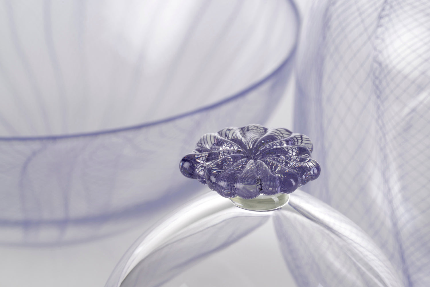 Purple Lines - Cloche