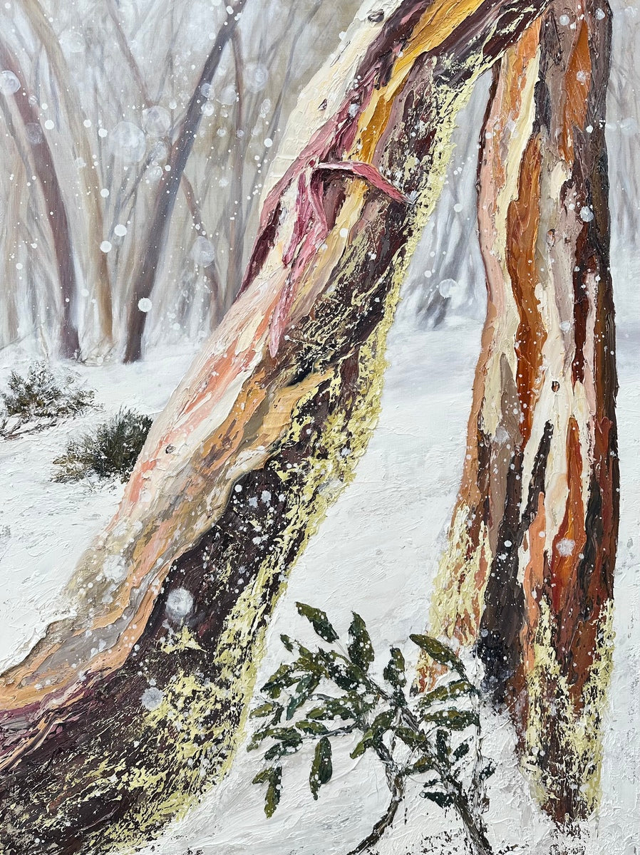 Amongst The Snow Gums