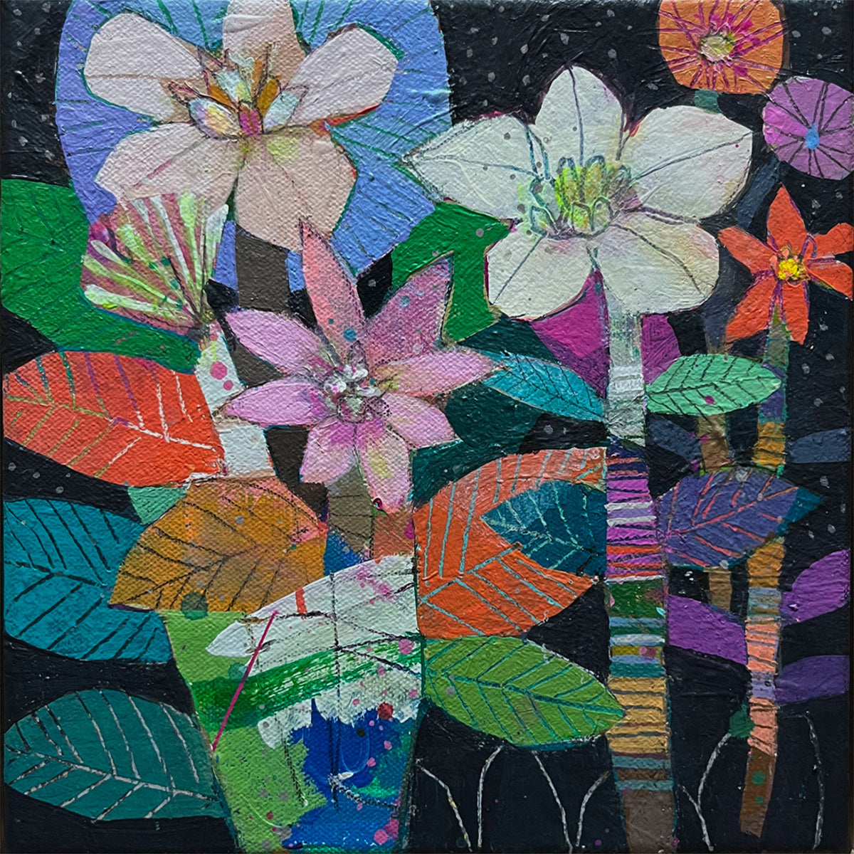 Seeds of Seven