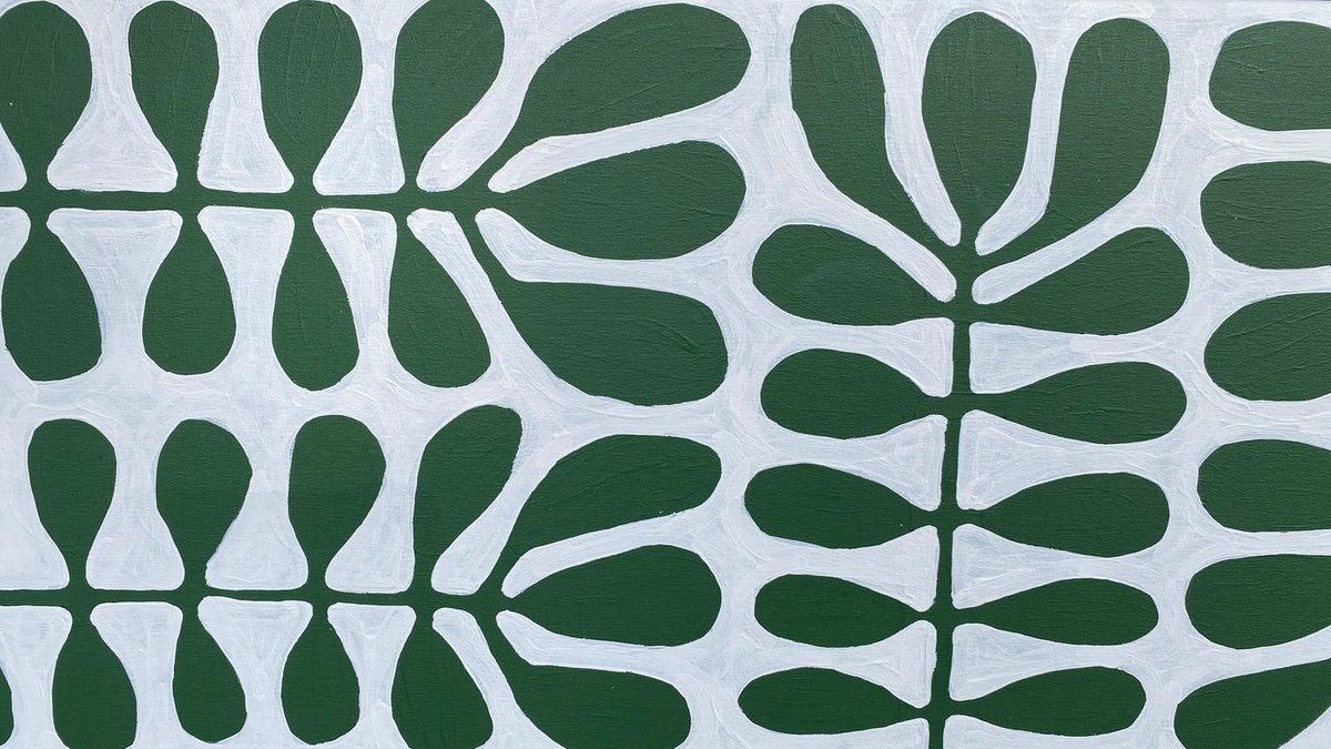 Acacia Leaves - Mulga Tree