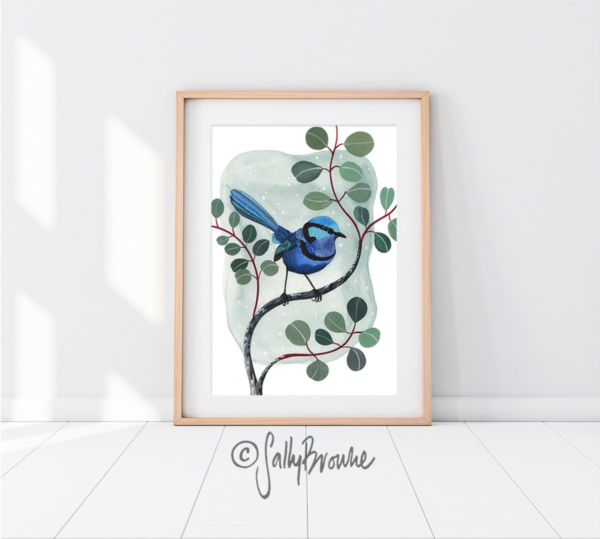 Splendid Fairy Wren and Silver Dollar Eucalyptus