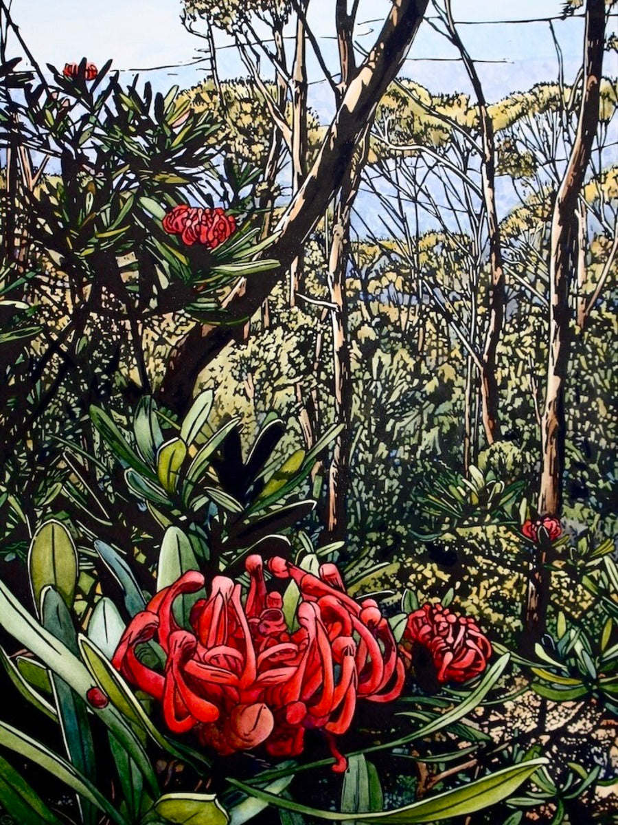 Kunanyi Waratah
