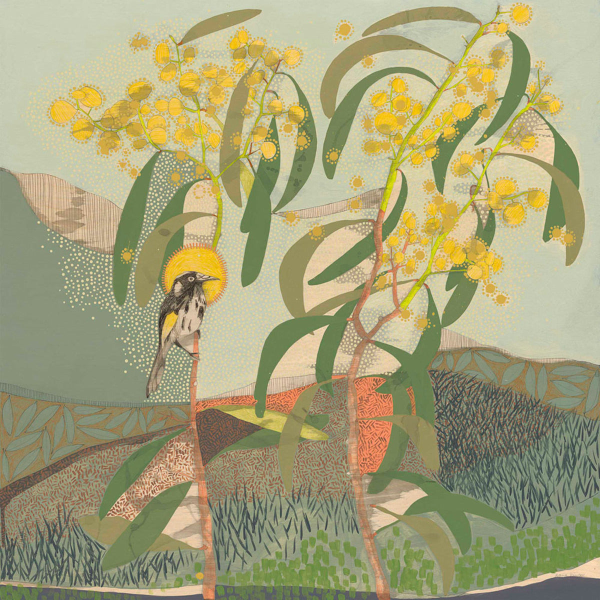 Locations of Memory, New Holland Honeyeater and Wattle