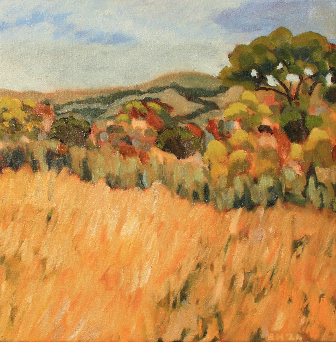 Near the Todd River I